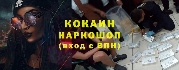 индика Арсеньев