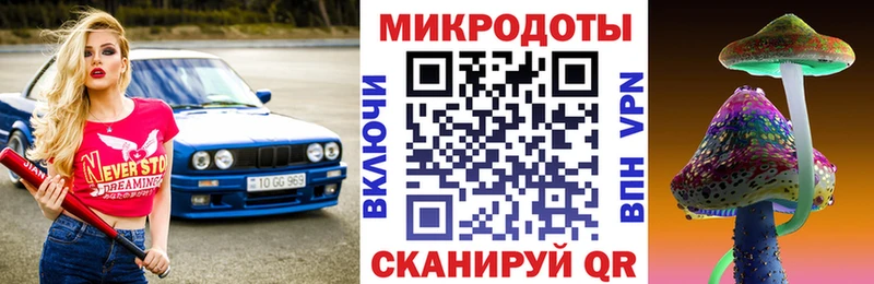 Галлюциногенные грибы Psilocybine cubensis  Купить где  Черноголовка 