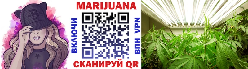Купить  Черноголовка  Канабис семена 